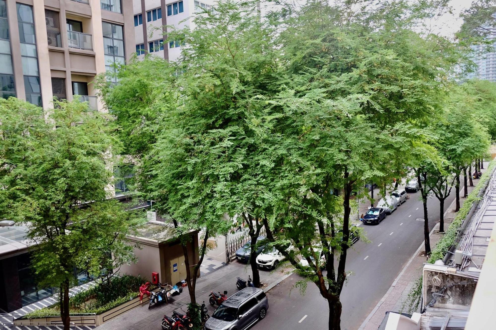 Avila - District 1 TP. Hồ Chí Minh